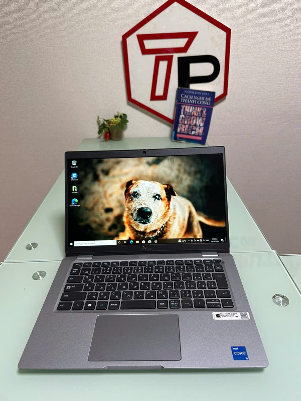 Dell Latitude 5330 / i5-1245U (up to 4.40Ghz | 10 nhân 12 luồng) / RAM 16GB / SSD 256GB / 13.3 inch FHD IPS (1920x1080)