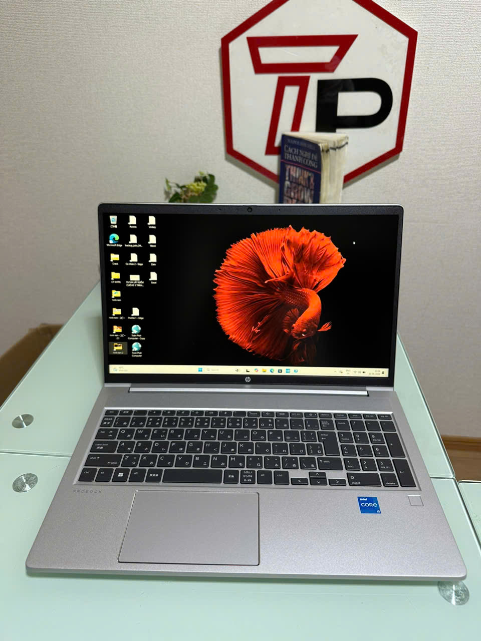 HP ProBook 450G10 / Core i5-1335U (up to 4.60Ghz | 10 nhân 12 luồng) / RAM 16GB/ SSD 256GB/ 15.6 inch FHD IPS (1920x1080)
